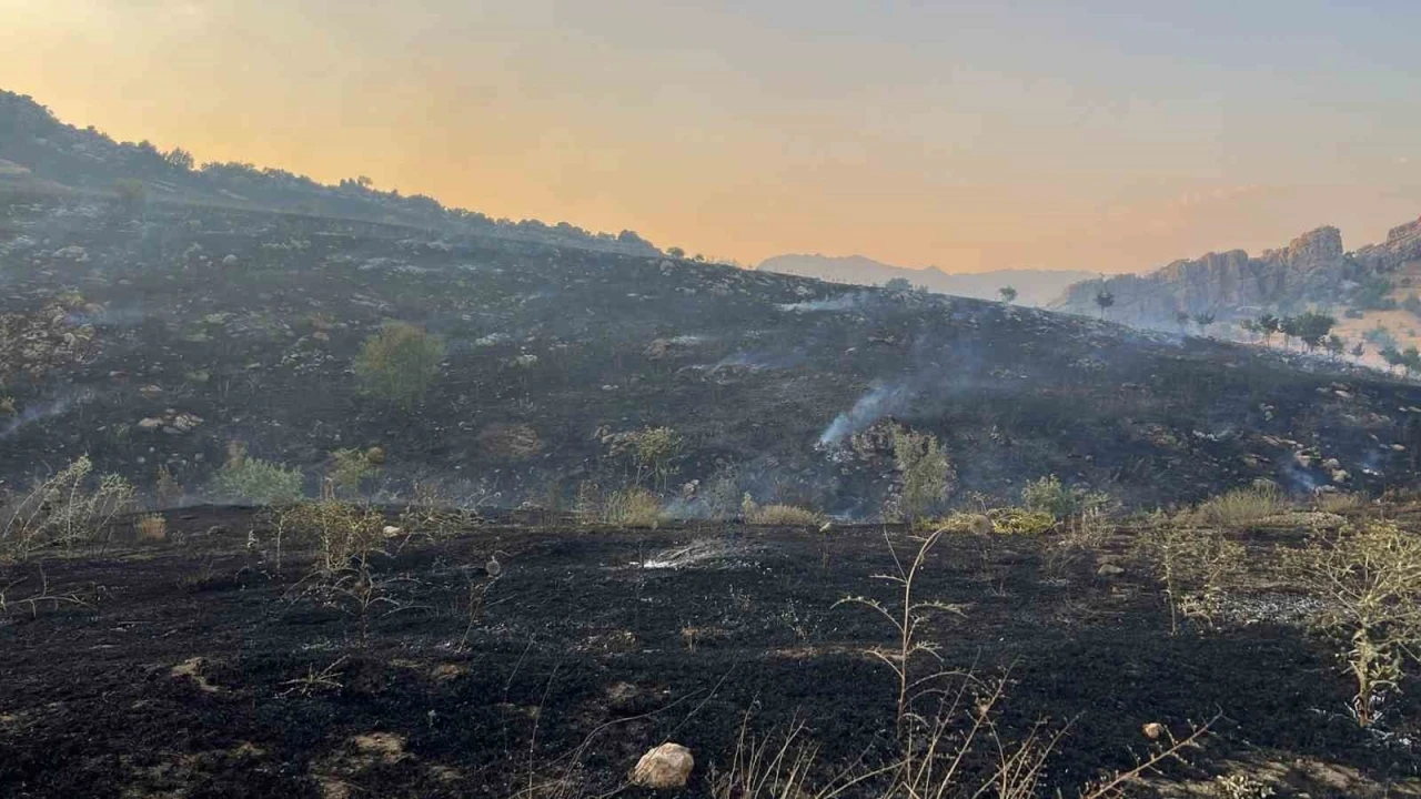 Diyarbakır’da merada başlayan yangın ormanlık alana yayıldı

