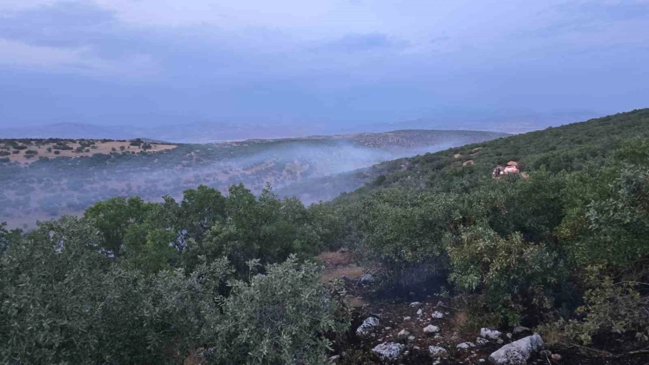 Diyarbakır’da örtü yangını
