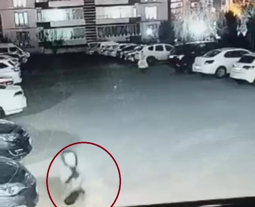 Diyarbakır’da sokak köpeğinin saldırdığı 3 kişi yaralandı