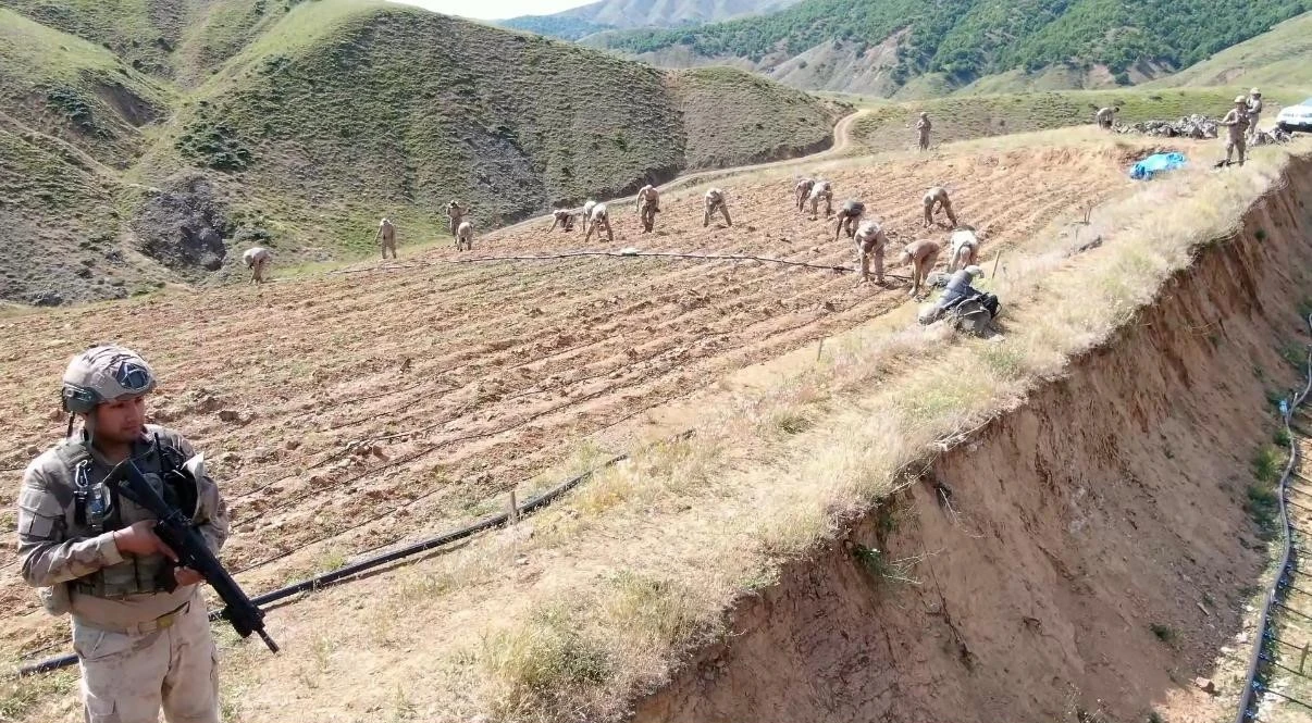 Diyarbakır’da yaklaşık 160 milyar 650 milyon TL olan 319 tonluk uyuşturucu maddenin topluma sunulmasının önüne geçildi
