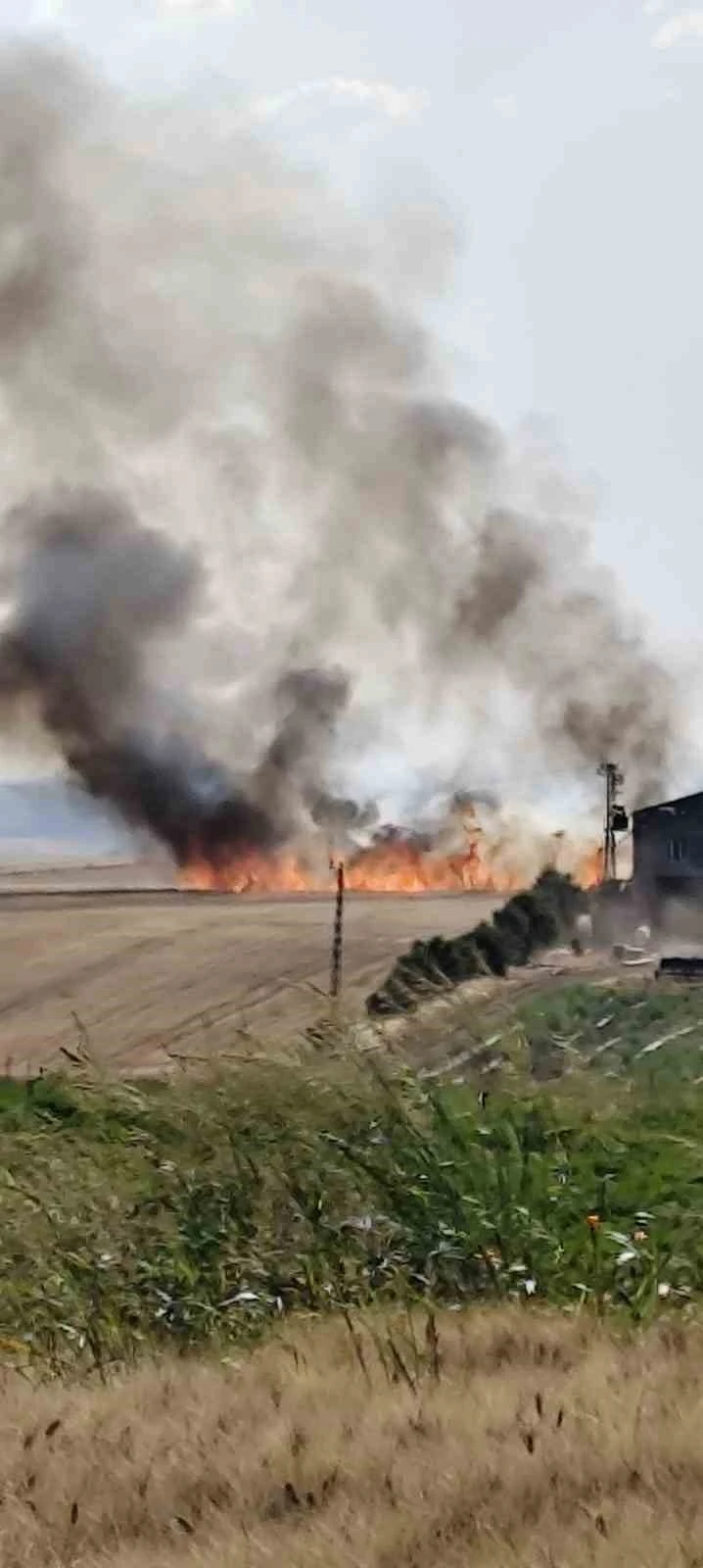 Diyarbakır’ın 3 mahallesinde buğday tarlası yangını
