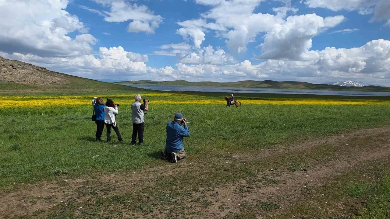 Doğa i&ccedil;in deklanş&ouml;re bastılar: Dostlar Fotoğraf Grubu Van&rsquo;ın sulak alanlarını fotoğrafladı

