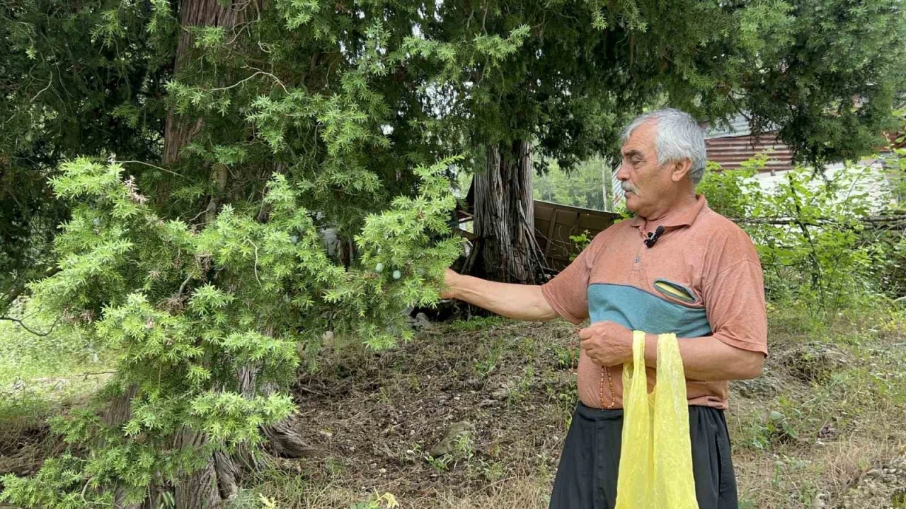 Doğadan topladığı andız &ccedil;ekirdeklerini koleksiyonluk tespihlere d&ouml;n&uuml;şt&uuml;r&uuml;yor
