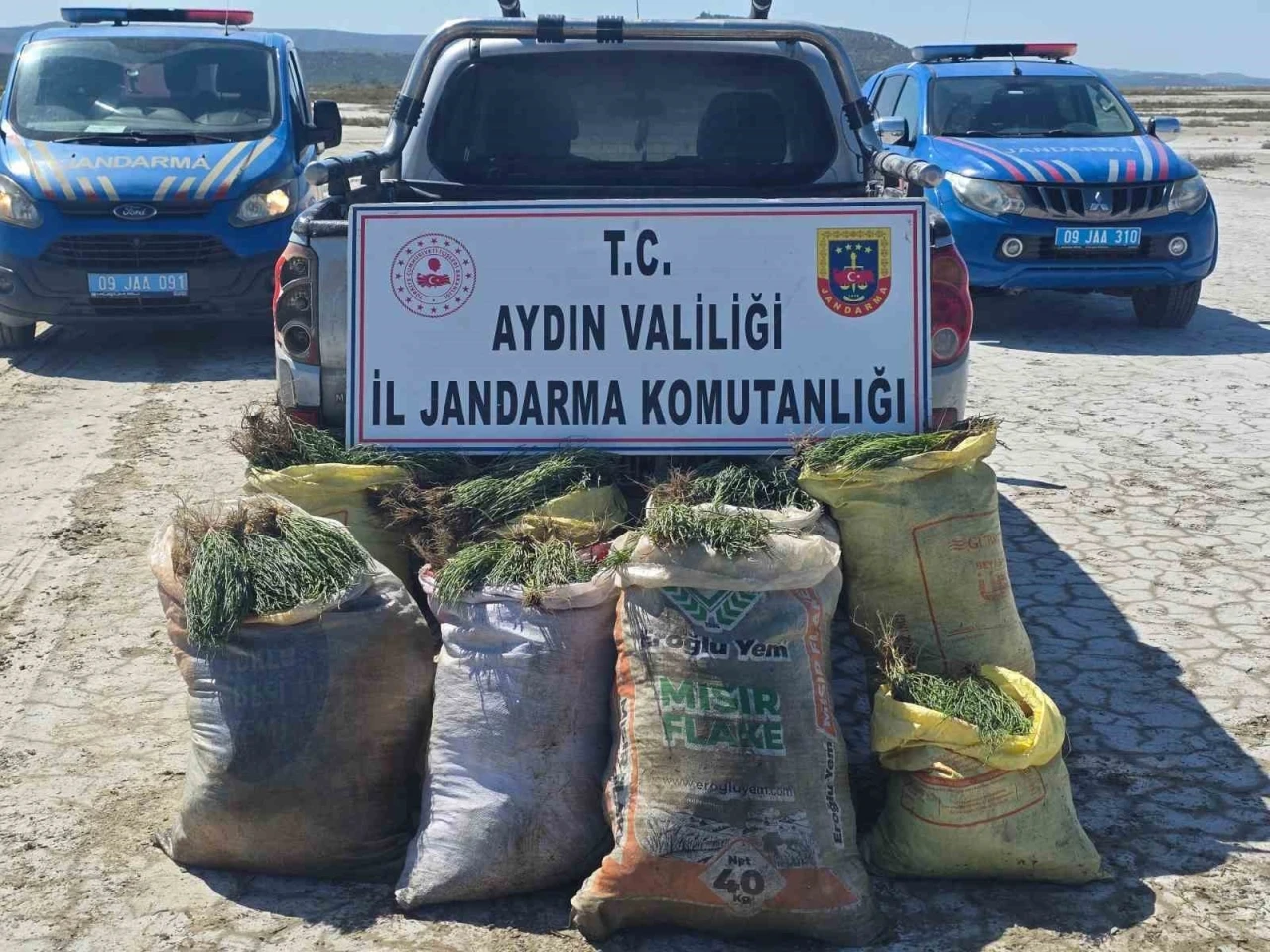 Doğal koruma alanlarında izinsiz bitki toplayan 8 ş&uuml;pheliye işlem yapıldı

