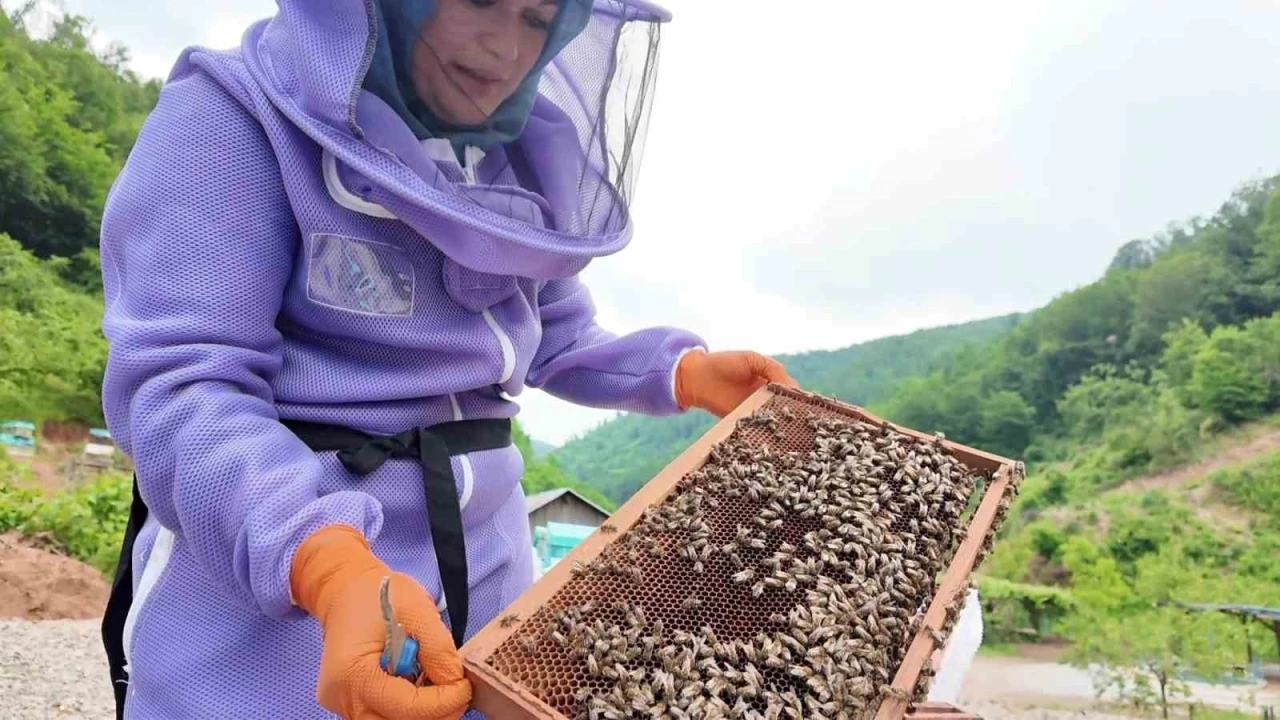 Doğaya aşık &uuml;retici kadının başarı hikayesi
