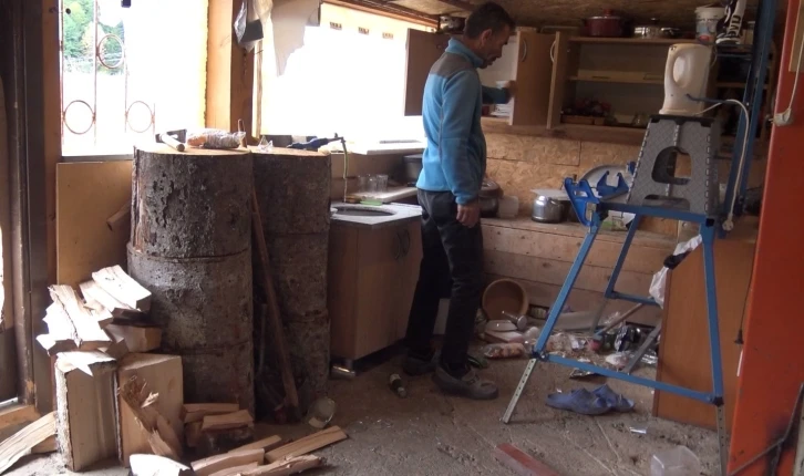 Doğu Karadeniz B&ouml;lgesinde artan ayı saldırılarına karşı uzmanlardan &ouml;neriler
