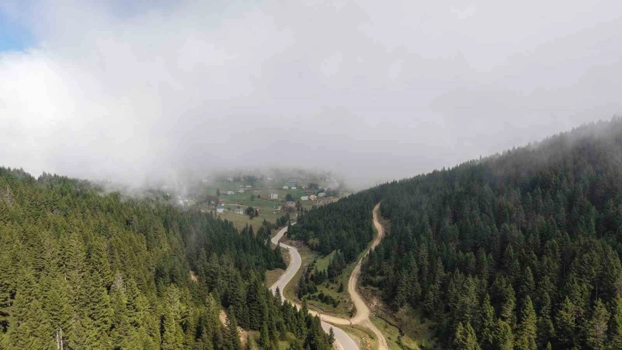 Doğu Karadeniz Bölgesinde heyelan alarmı
