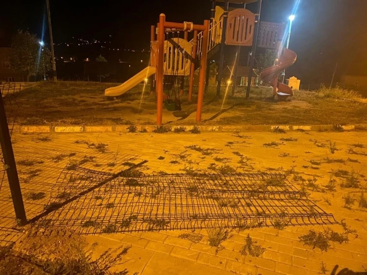 Domani&ccedil;&rsquo;te ayı paniği
