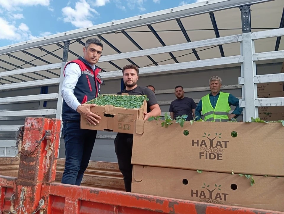 ‘Domates Yetiştiriciliğinin Geliştirilmesi’ projesi sürüyor
