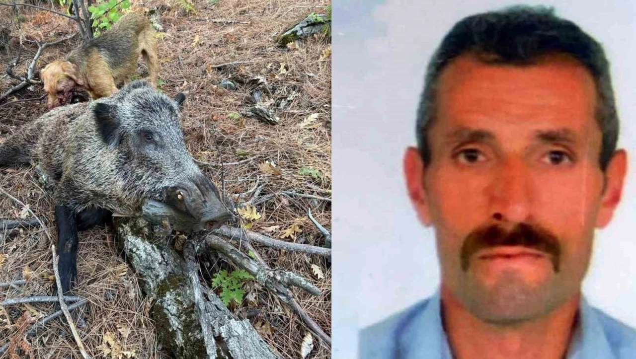 Domuz saldırısı can aldı
