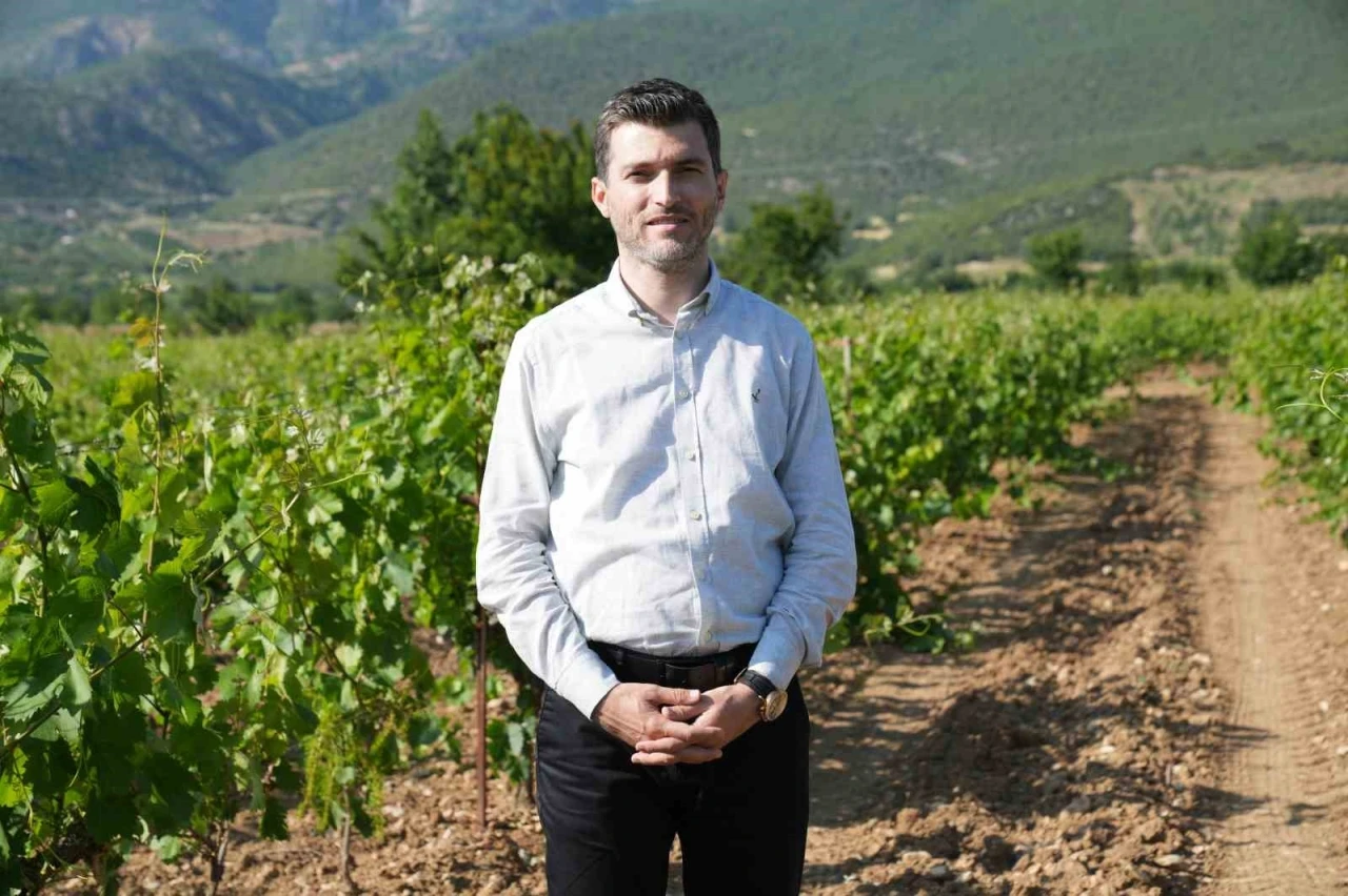 Don geciktirdi ama üretim düşmedi, yaprakta hedef 2 milyar liralık gelir
