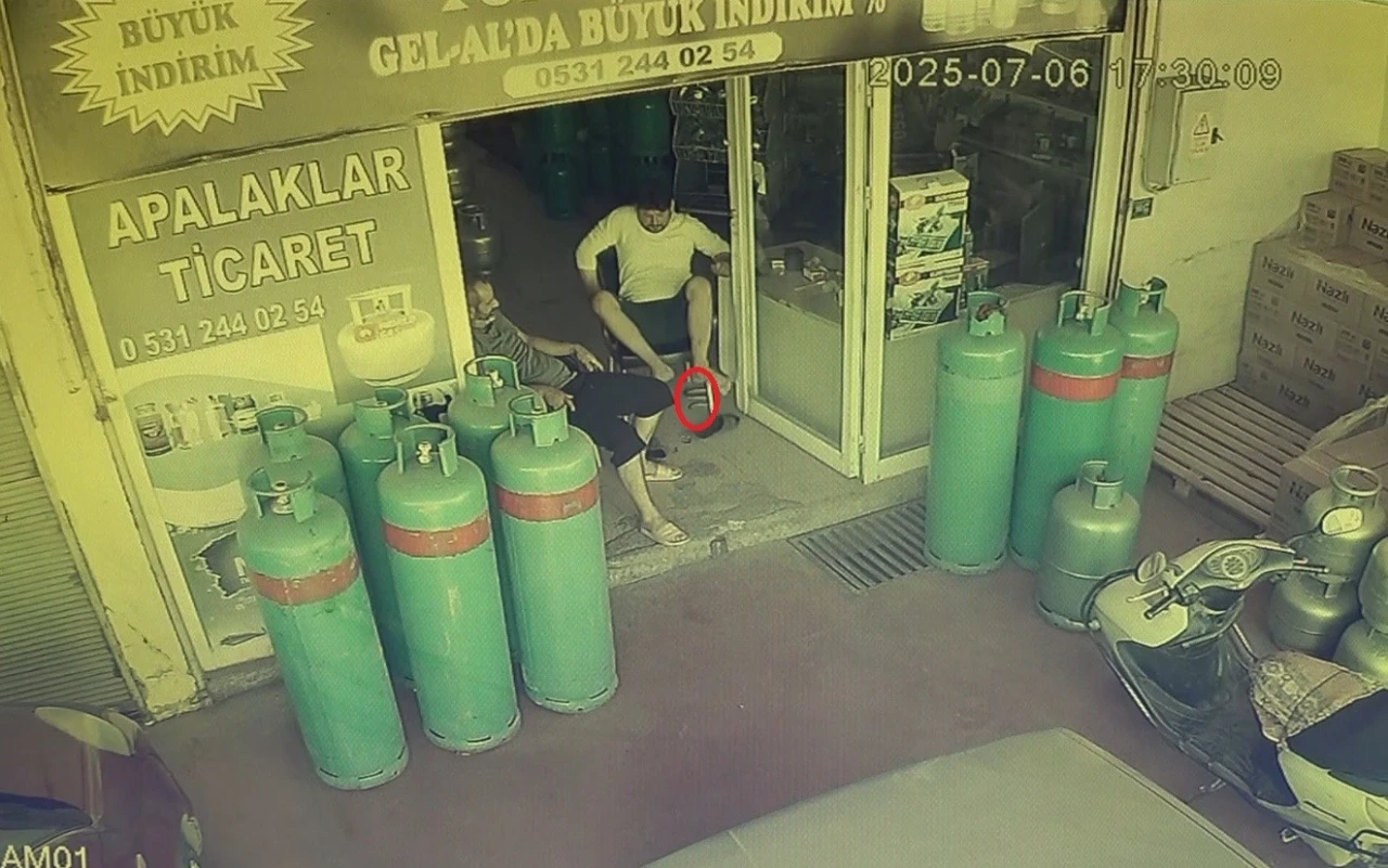 Dükkana giren yılan, esnafı sokağa fırlattı

