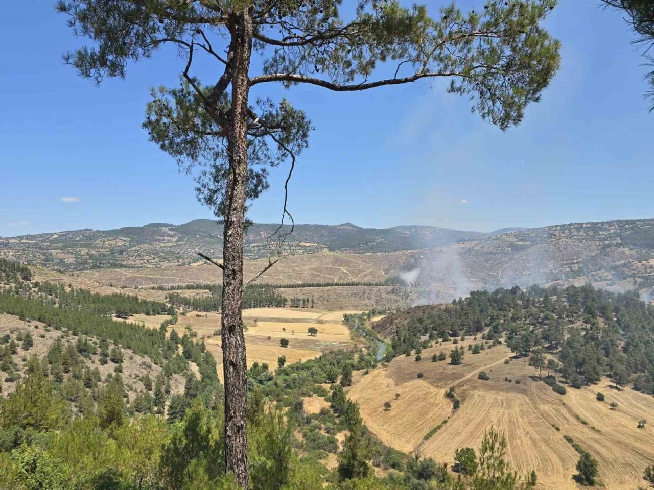 Dursunbey&rsquo;de orman yangını
