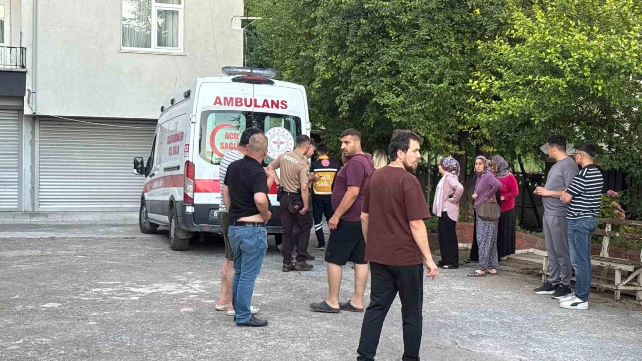 Dut toplarken ağa&ccedil;tan d&uuml;ş&uuml;p yaralandı
