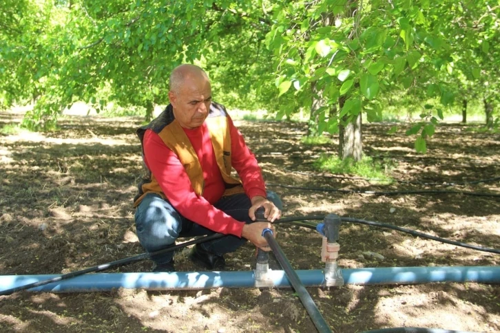 Dut üreticileri yeni sezon için bahçeye indi
