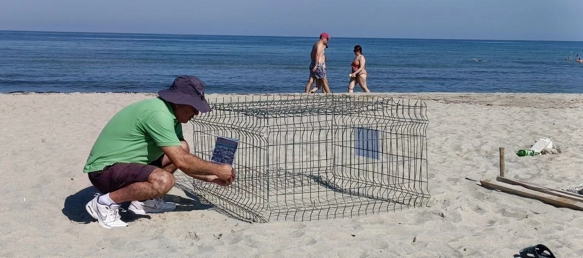 Duyarlı gen&ccedil;lerin ihbarı sayesinde, caretta yuvası koruma altına alındı
