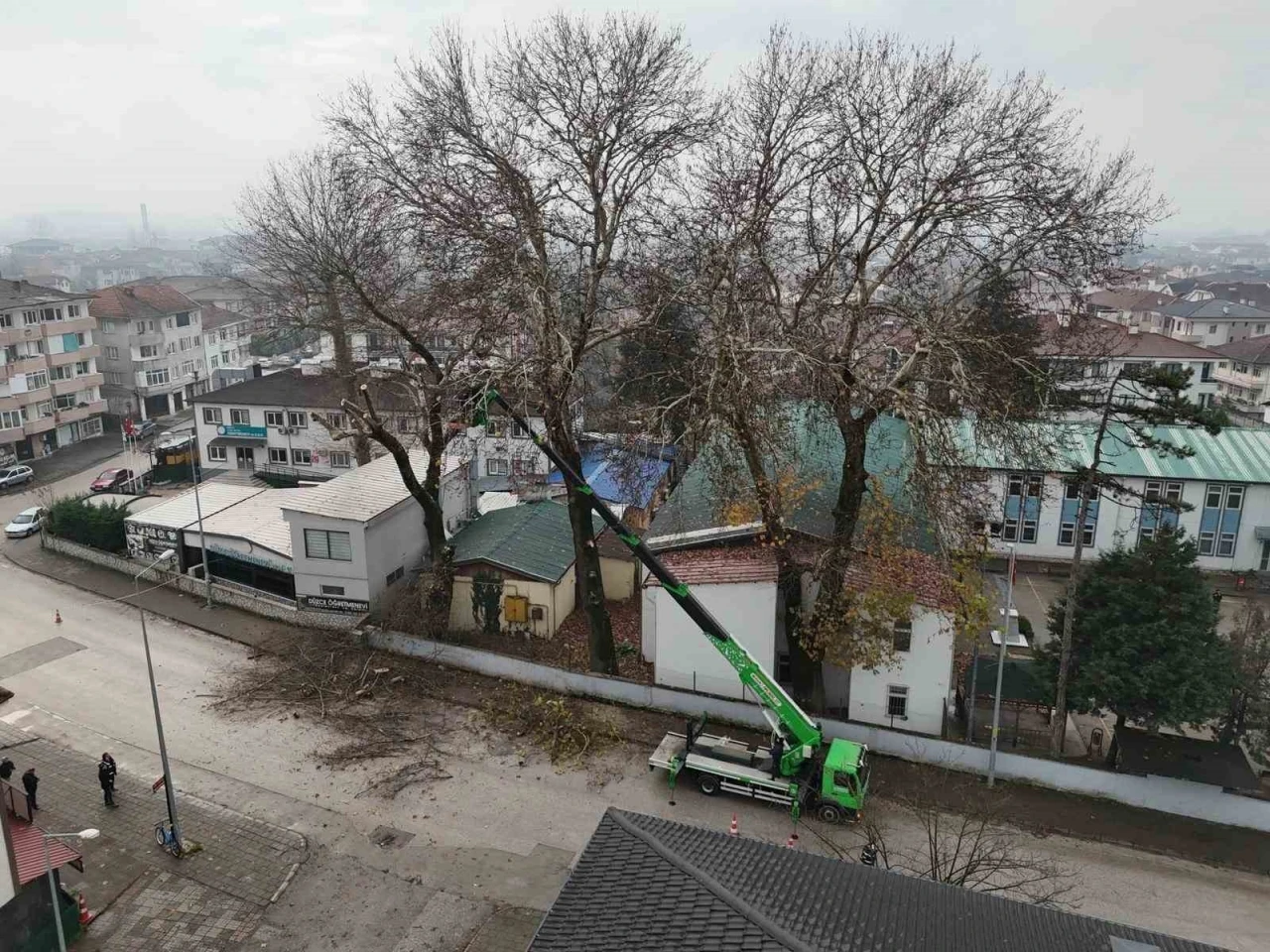 D&uuml;zce&rsquo;de ağa&ccedil;lara kış bakımı
