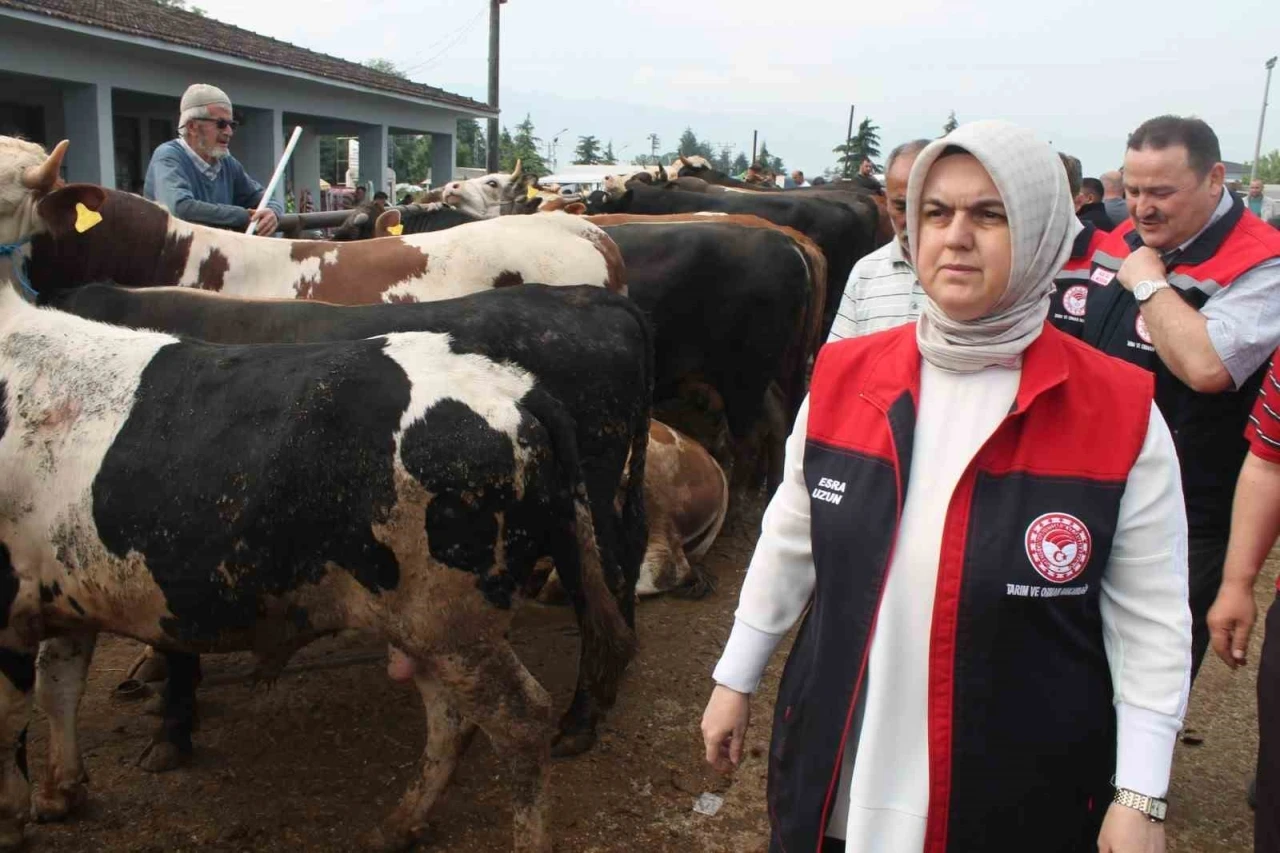 Düzce’de Kurban Bayramı öncesi sıkı denetim
