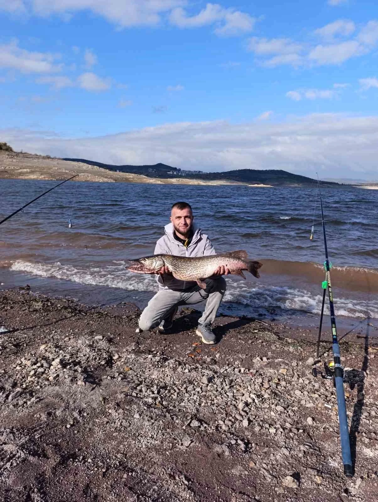 (D&uuml;zeltme) Sındırgı&rsquo;da dev turna balığı yakalandı

