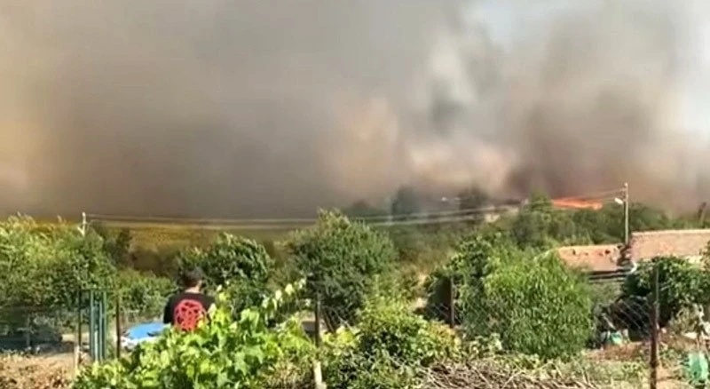 Edirne’de 30 dönümlük buğday tarlası alev alev yandı