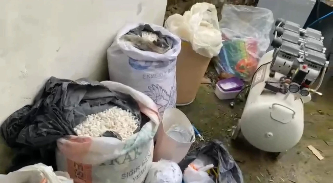 Edirne&rsquo;de evini uyuşturucu imalathanesine &ccedil;evirmiş: Operasyonda 117 kilo uyuşturucu ele ge&ccedil;irildi
