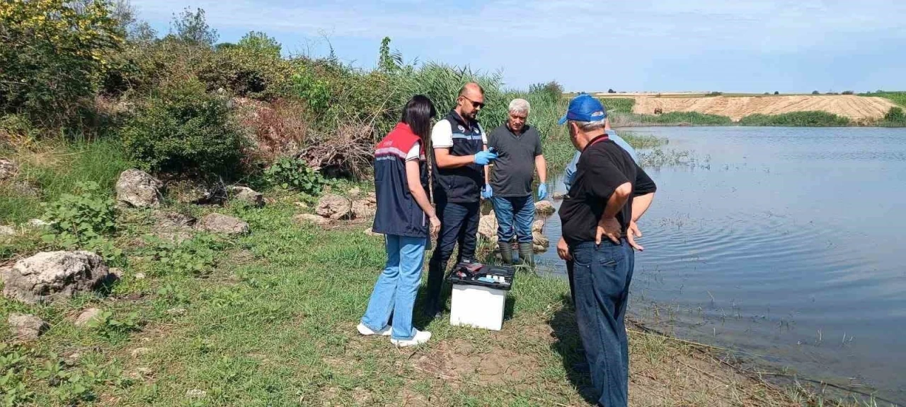 Edirne&rsquo;de toplu balık &ouml;l&uuml;mlerinin yaşandığı g&ouml;letten numune alındı
