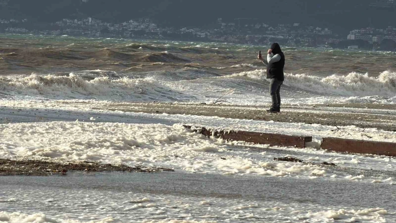 Edremit&rsquo;te lodos sahili k&ouml;p&uuml;kle kapladı
