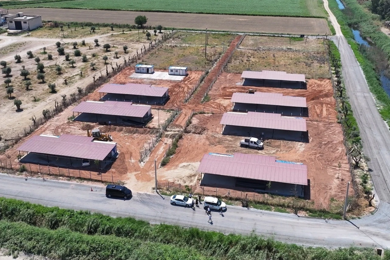 Efeler Belediyesi&rsquo;nden sokak hayvanları i&ccedil;in yeni yaşam alanı
