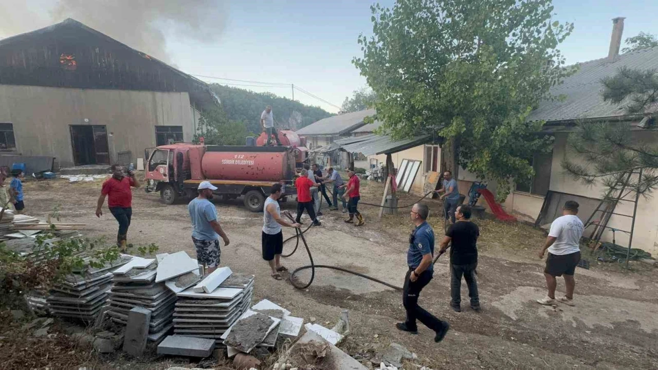 Eğirdir’de trafodaki tellere temas eden sincap, 1 depo ile 2 dönümlük araziyi küle çevirdi
