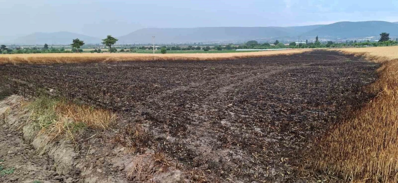 Ekili araziye düşen yıldırım 8 ton buğdayı kül etti
