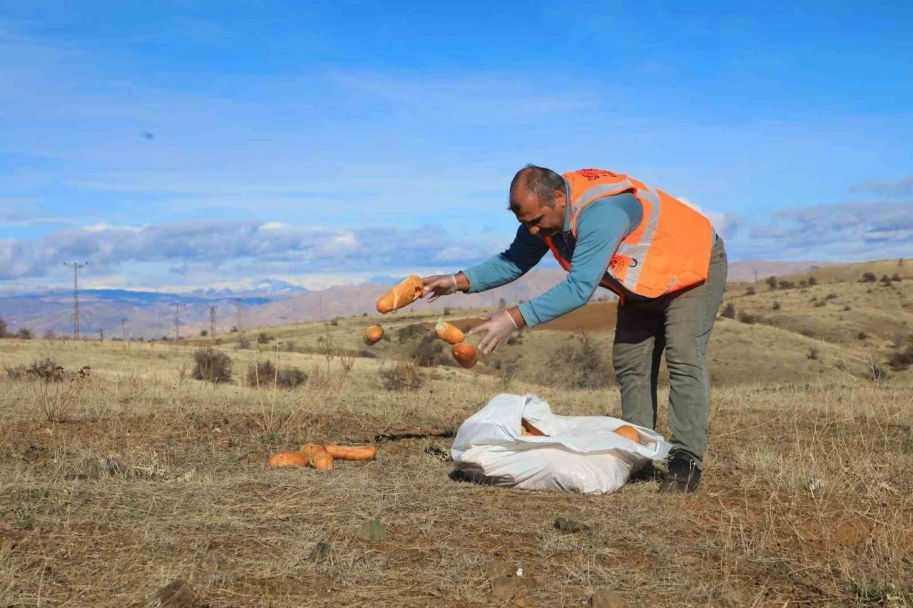Elaızığ&rsquo;da doğaya yem bırakıldı
