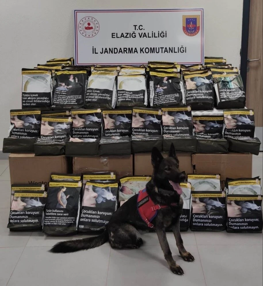 Elazığ’da 85 kilo tütün ele geçirildi