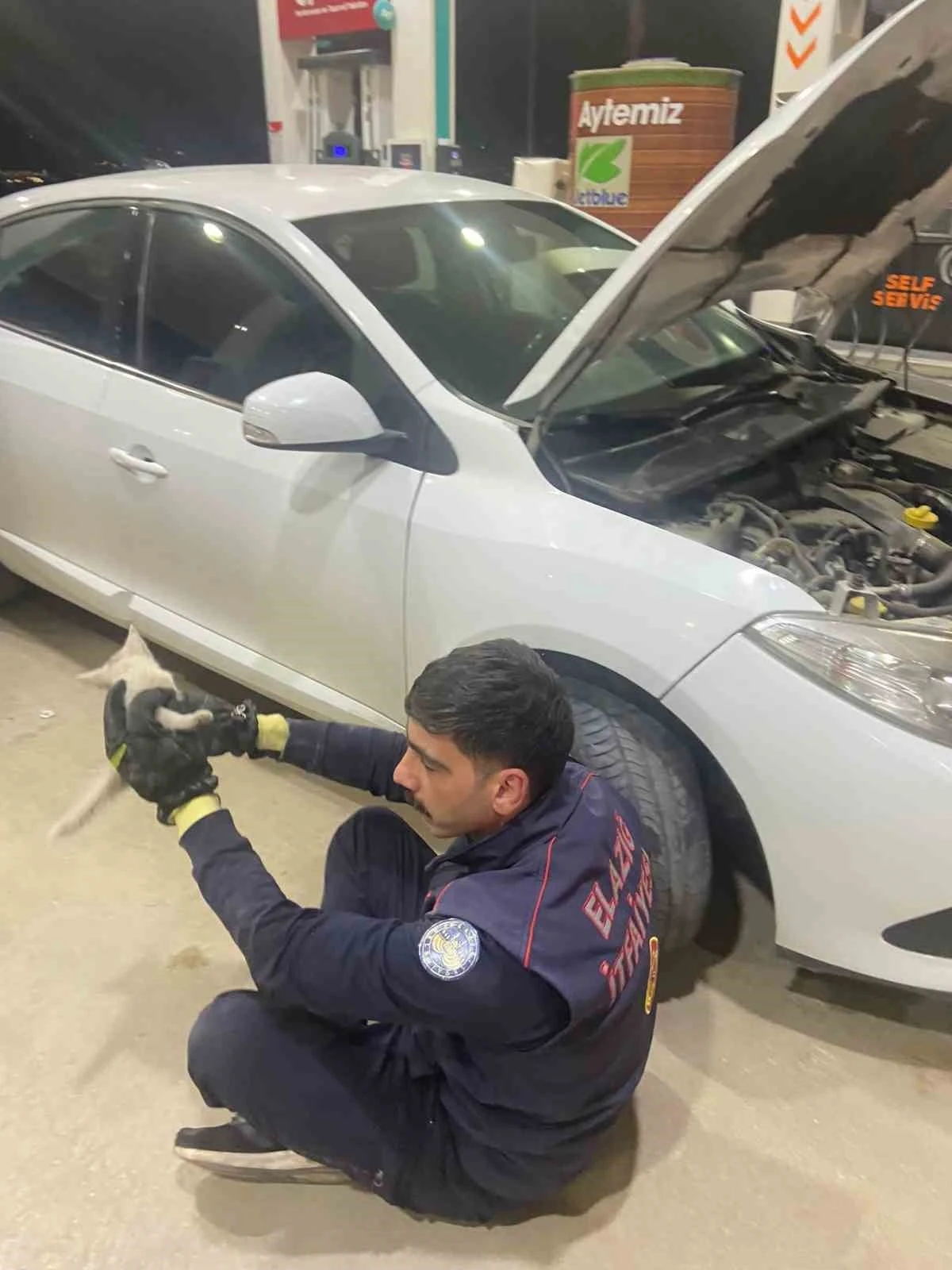Elazığ’da aracın motor kısmına sıkışan kedi, itfaiye tarafından kurtarıldı
