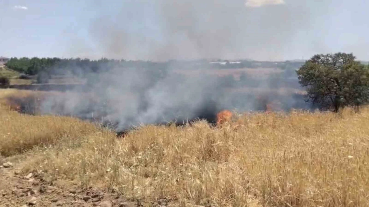 Elazığ&rsquo;da arazi yangını ekiplerin m&uuml;dahalesi s&uuml;r&uuml;yor
