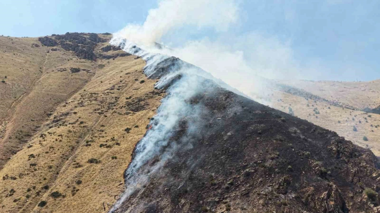 Elazığ&rsquo;da dağlık alanda yangına sebep olan ş&uuml;pheli tutuklandı
