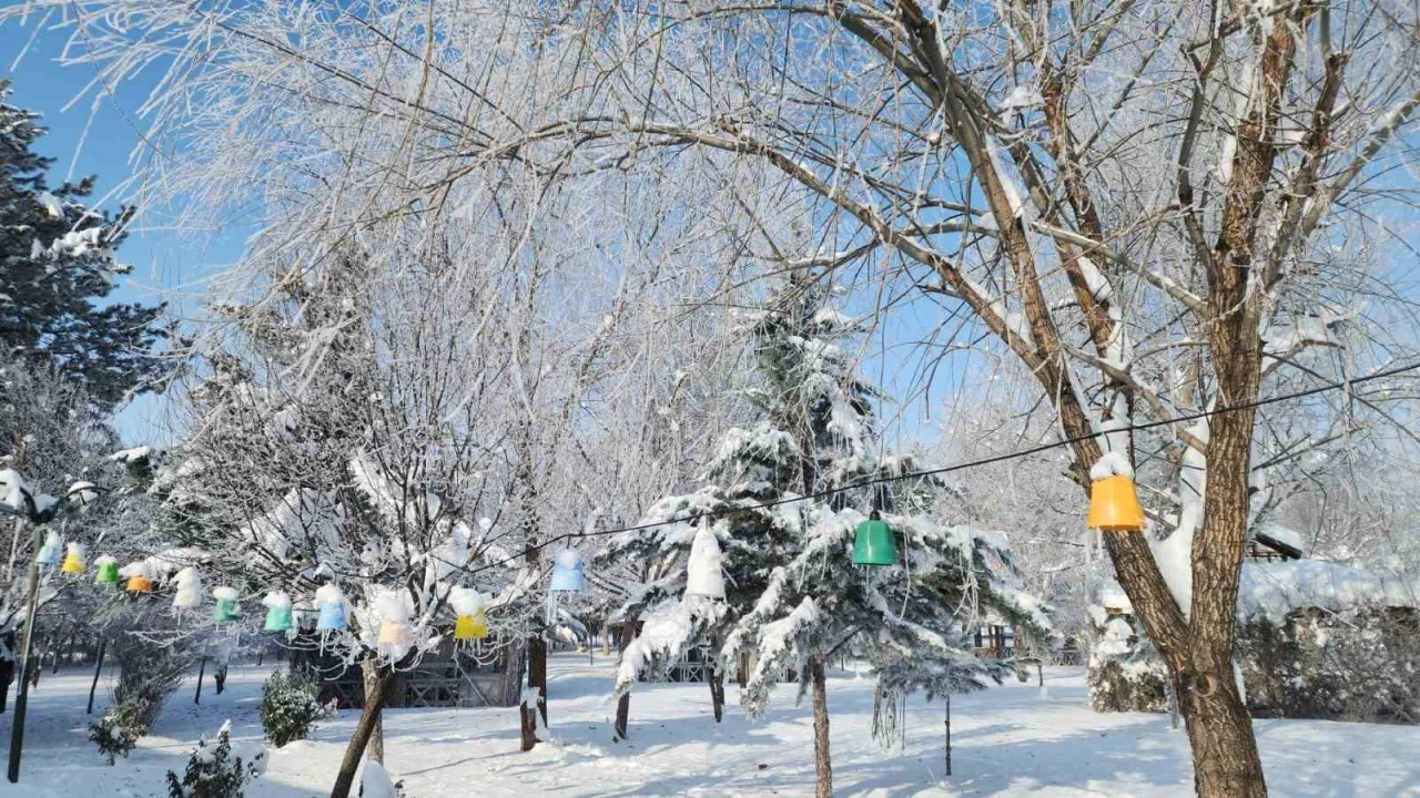 Elazığ&rsquo;da dondurucu soğuklar: Karako&ccedil;an&rsquo;da termometreler -22&rsquo;yi g&ouml;sterdi
