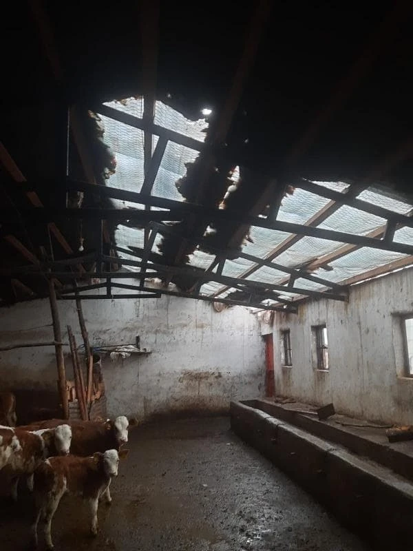Elazığ’da etkili olan fırtına ahırın çatısını uçurdu
