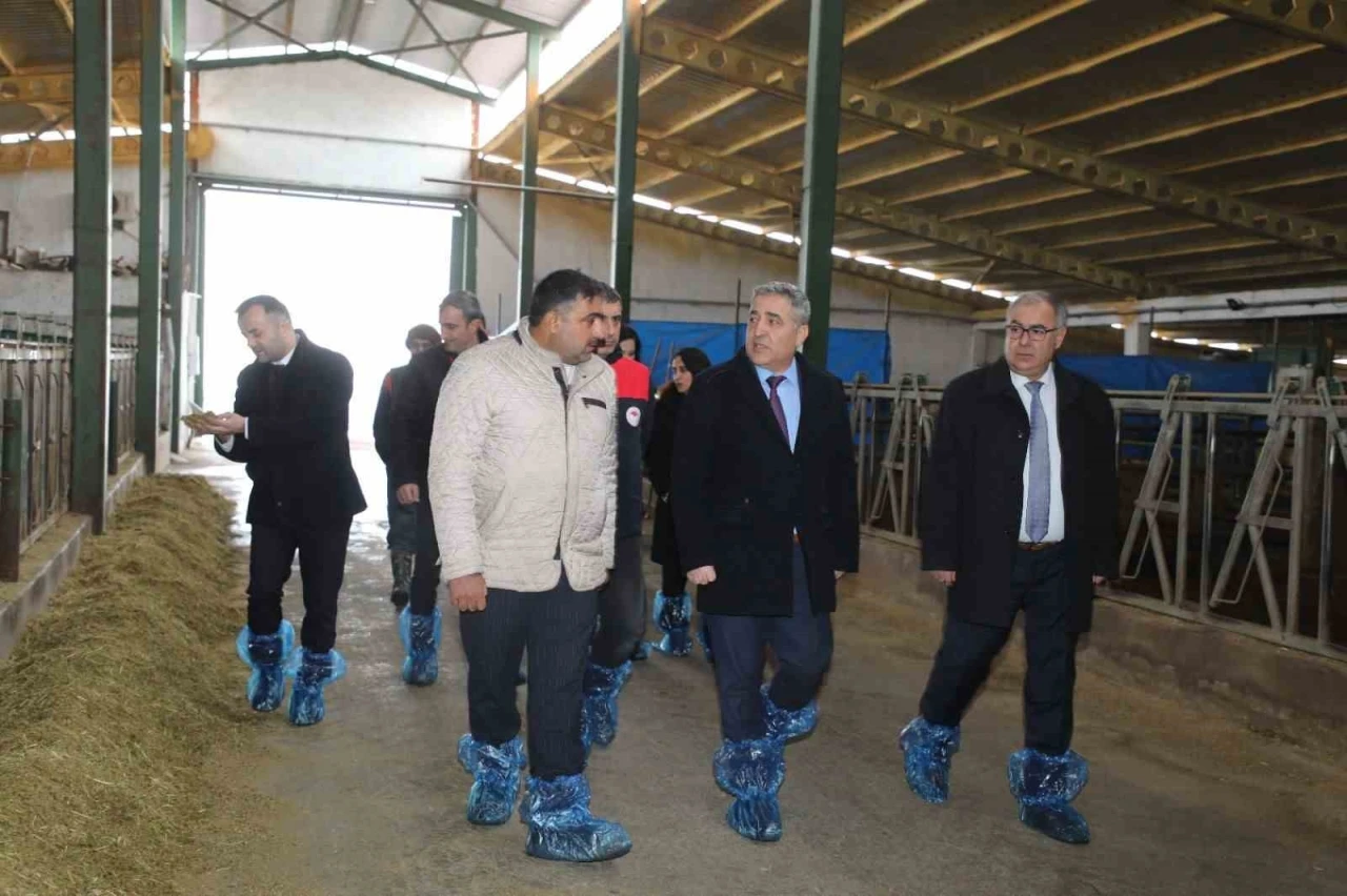 Elazığ&rsquo;da hayvancılık altyapısı yerinde incelendi
