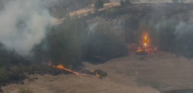 Elazığ’da kırsal alan yangını
