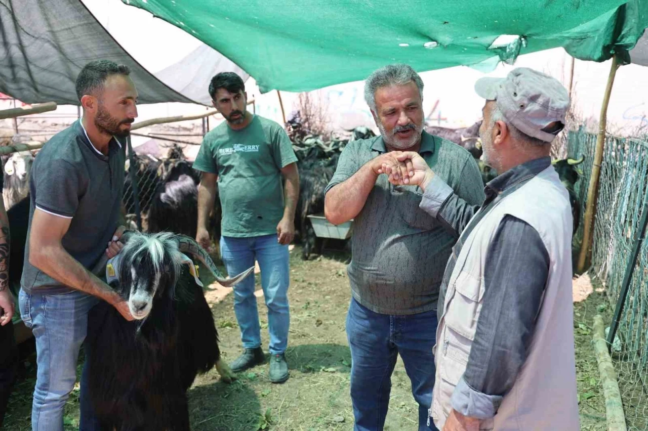 Elazığ’da ’kol kıran’ pazarlıklar sürüyor
