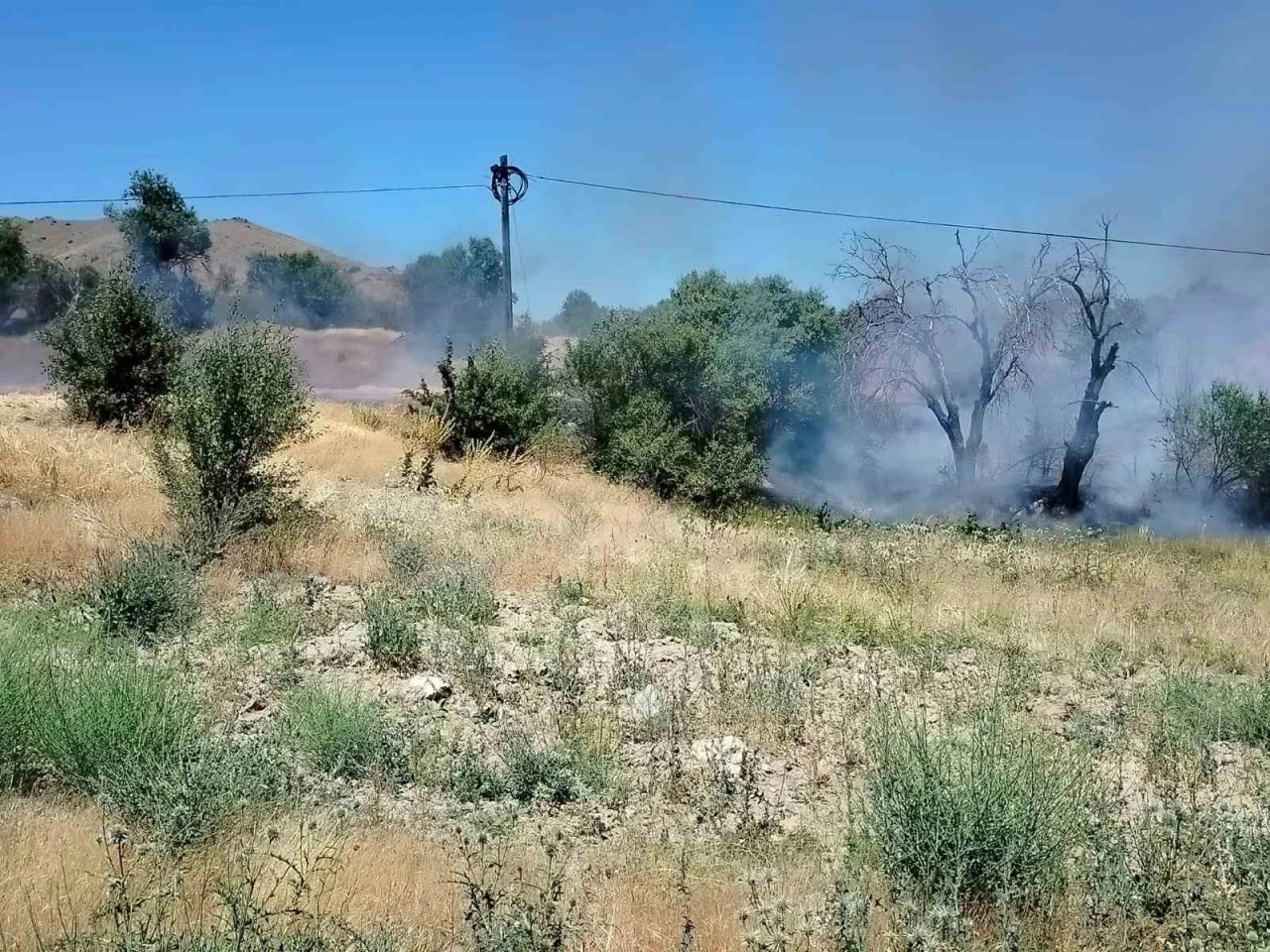 Elazığ’da korkutan yangın: Onlarca dönümlük alan kül oldu
