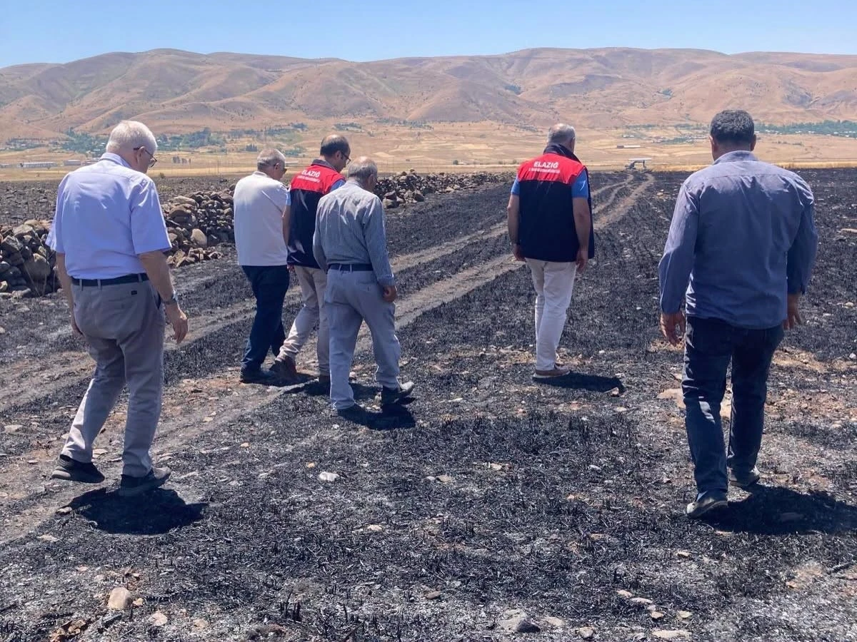 Elazığ&rsquo;da k&uuml;le d&ouml;nen 70 d&ouml;n&uuml;ml&uuml;k ekili alanda hasar tespit &ccedil;alışmaları
