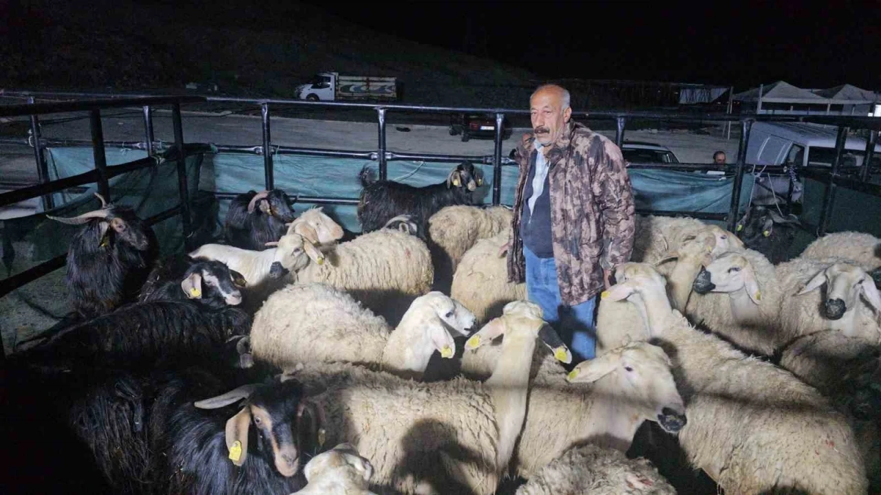 Elazığ&rsquo;da kurban pazarında uykusuz mesai: Geceyi hayvanlarının başında ge&ccedil;iriyorlar

