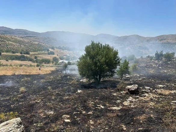Elazığ’da otluk alanda çıkan yangın söndürüldü
