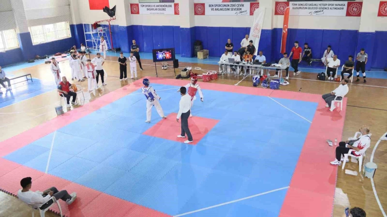 Elazığ’da taekwondo heyecanı
