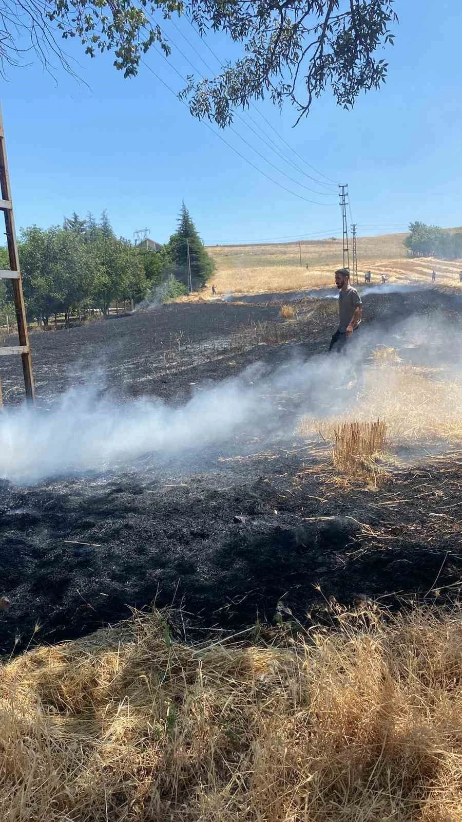 Elazığ’da yangın: Ekili alan küle döndü
