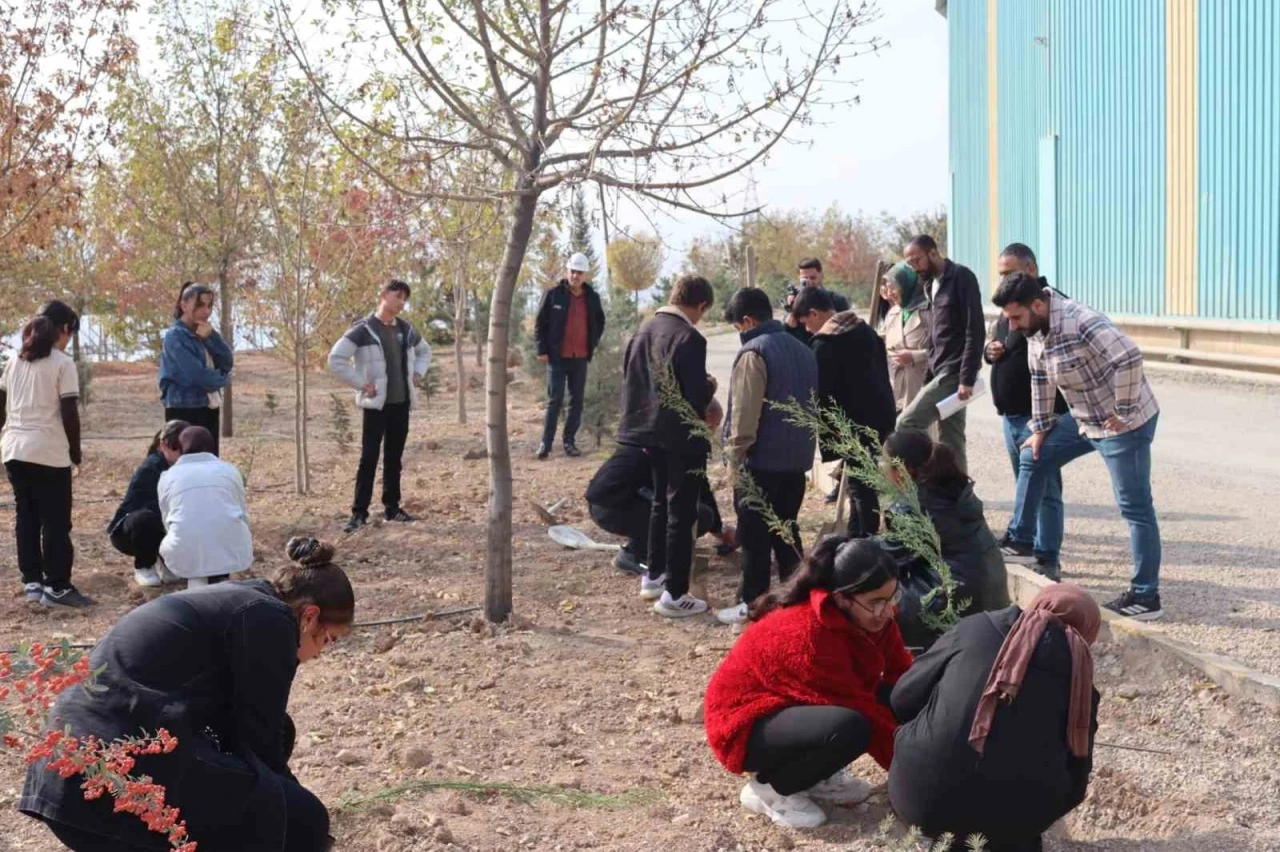 Elazığ’da ‘Yeşil Vatan Seferberliği’ne anlamlı destek
