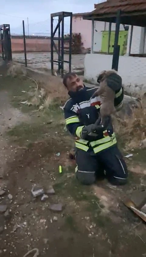 Elazığ&rsquo;da y&uuml;rek ısıtan kurtarma operasyonu
