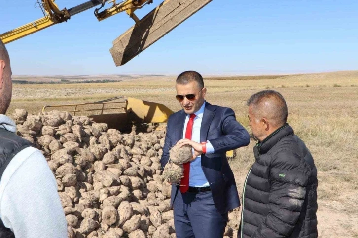 Emirdağ il&ccedil;esinde şeker pancarı hasadı s&uuml;r&uuml;yor
