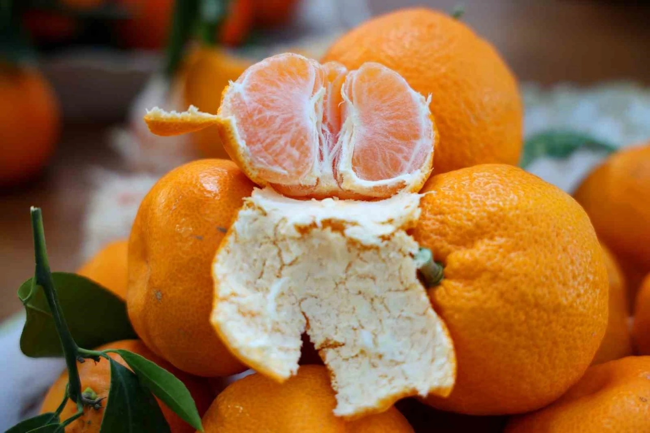 En ucuz meyve  mandalina: Dalında 3, pazarda 5 lira
